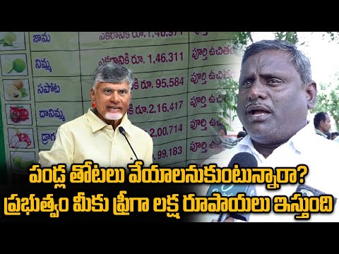 Agriculture Schemes : పండ్ల తోటలు వేసుకునే రైతులకు శుభవార్త | Oneindia Telugu